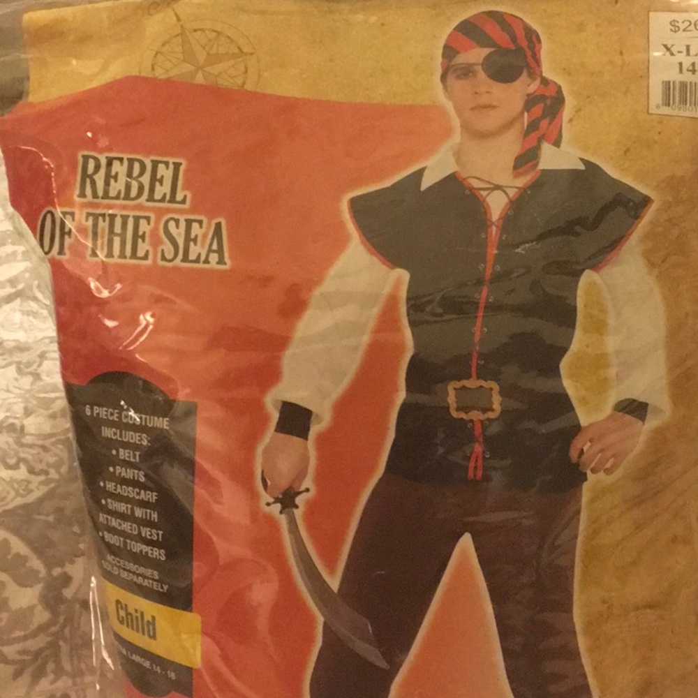 Rebel of the Sea Costume